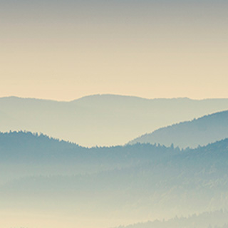 在线短信轰炸机网页版