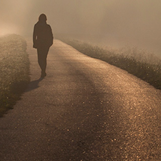 强劲性能出众的免费轰炸机