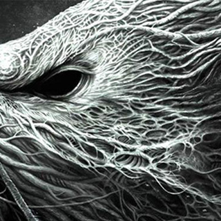 电话轰炸机官网