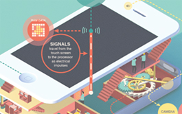 稳定的购买渠道分享的在线轰炸电话软件版